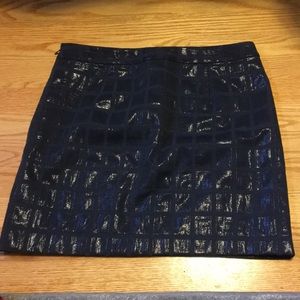 Gap Skirt with Zipper